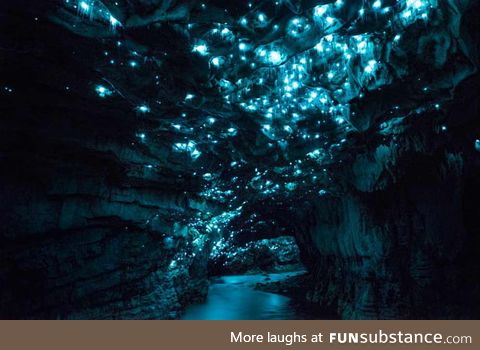 This is an actual cave in New Zealand. It is illuminated by glowing worms (Arachnocampa