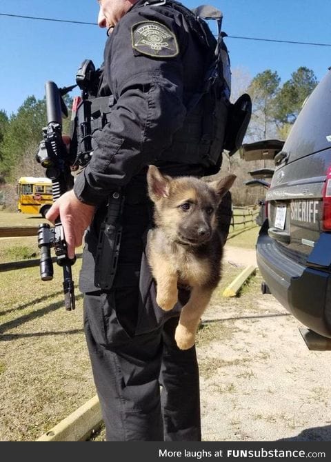 tactical puppy