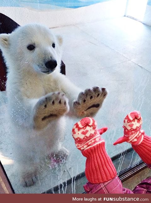 "double high five little hooman!"