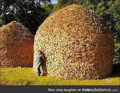 Now those are some piles of firewood