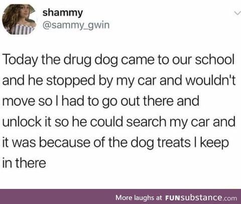 Dog treats