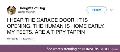 Thoughts of Dog are Tippy tappin