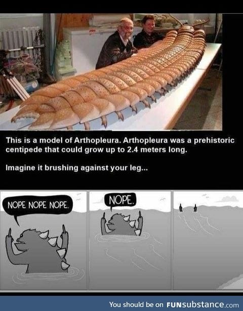 The giant 2.4 meter centipede