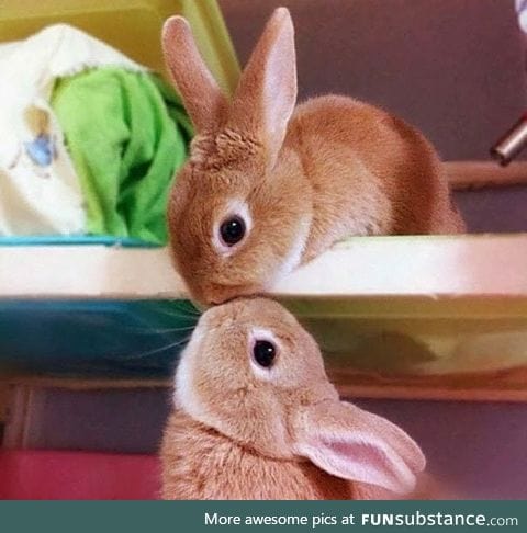 *smooch*