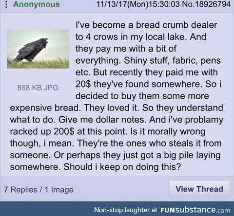 The cash crows