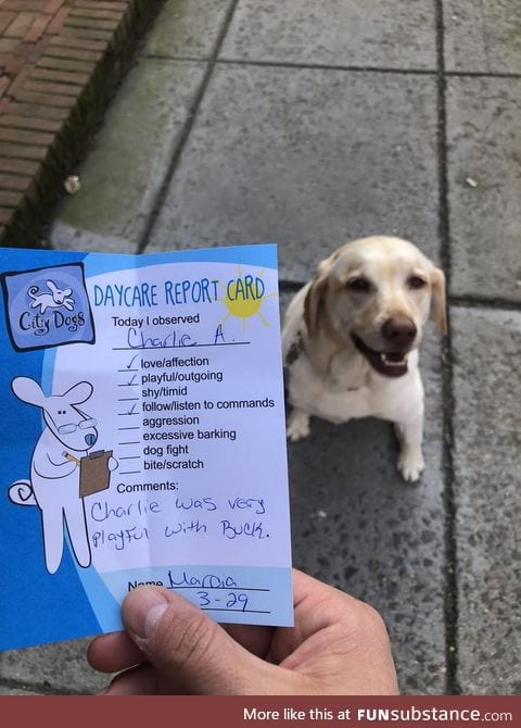 Charlie's report card