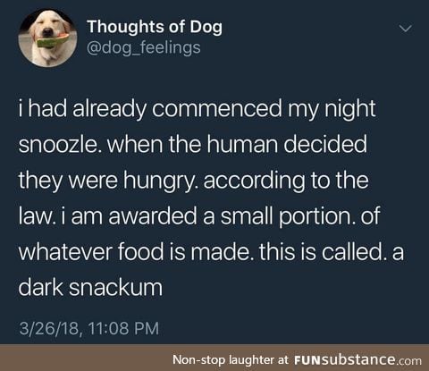 Thoughts of Dog: Dark Snackum