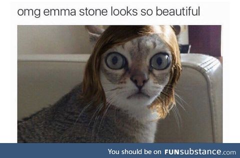 “Emma Stone looks like she smells like cat piss”