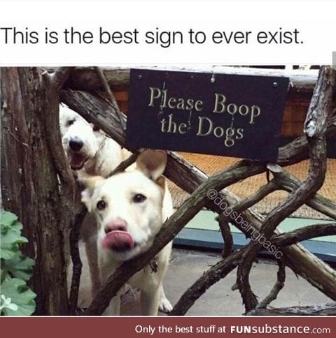 Follow the sign