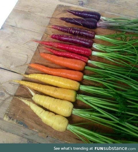 Carrots were purple, yellow & white until 1600s,when Dutch Farmers crossbred them