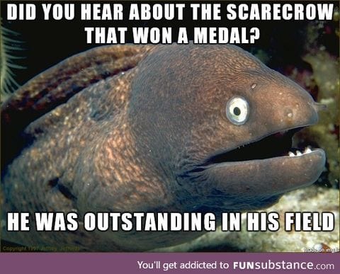 Bad joke eel