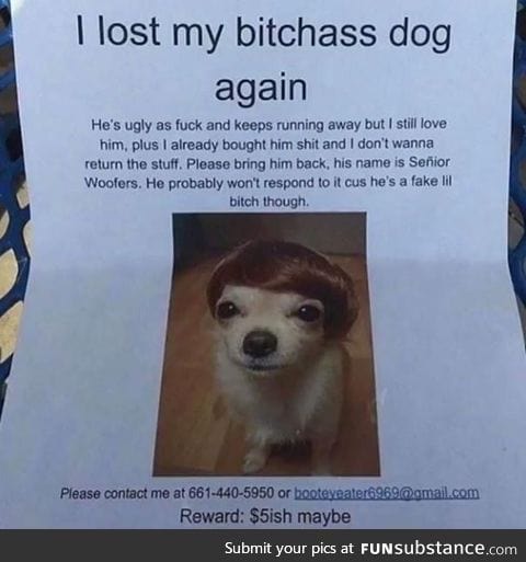 Best lost dog ad ever?