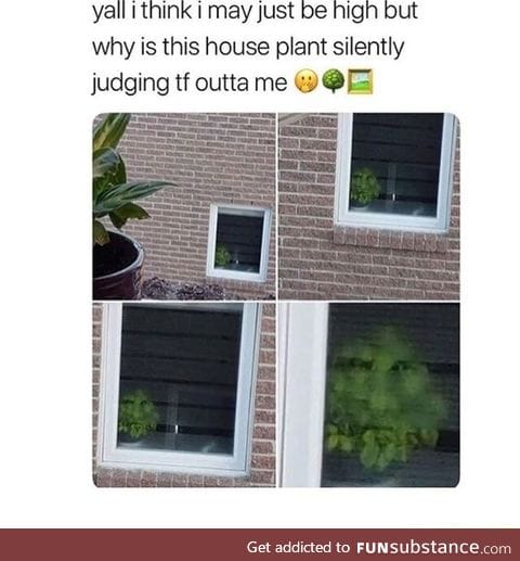 That plant be livin