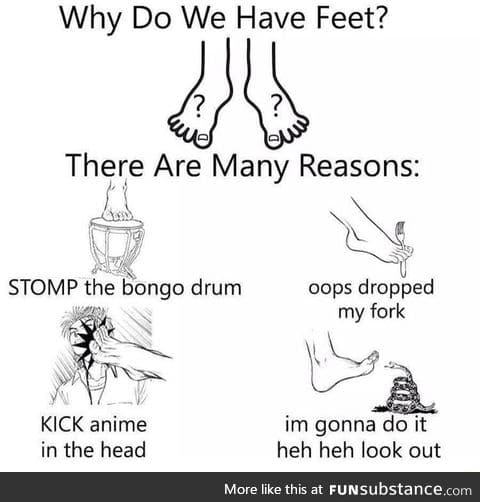 Why we have feet