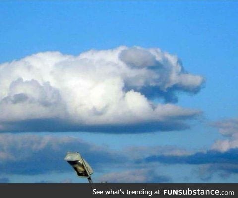This cloud looks like a good boy