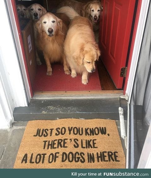 Please let me in! 