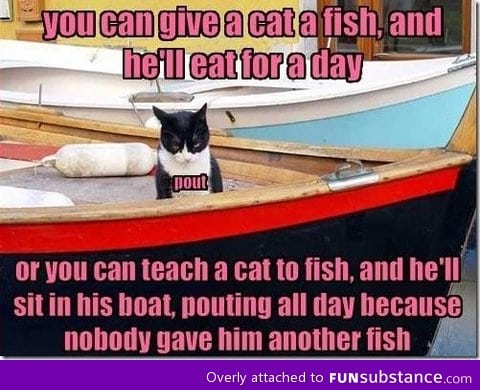 You can give a cat a fish