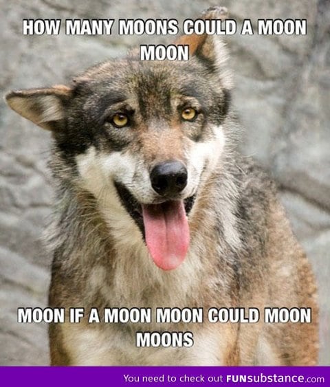 How many moons could a moon moon moon