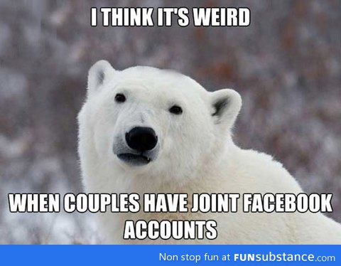 Popular opinion polar bear