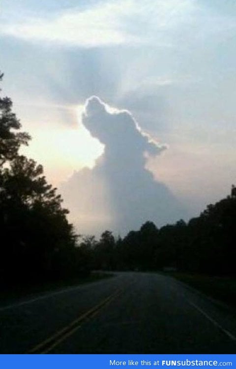 All dogs go to heaven