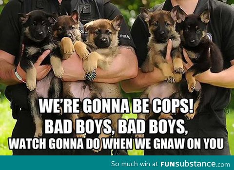 Puppy cops to be