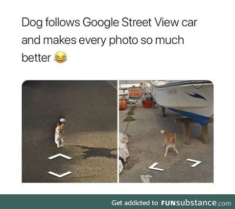 Wholesome google photos