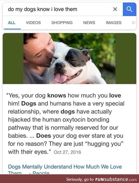 Dogs know love
