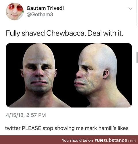 Fully shaved Chewbacca