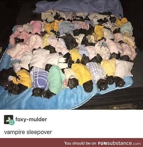 Vampire sleepover