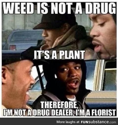 Every small town local drug dealer