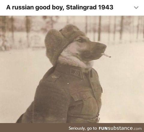 Woof but in russian