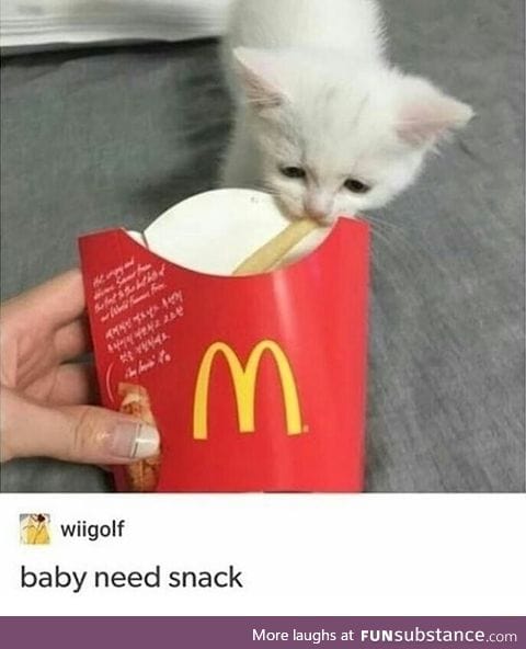 That's enough food for baby