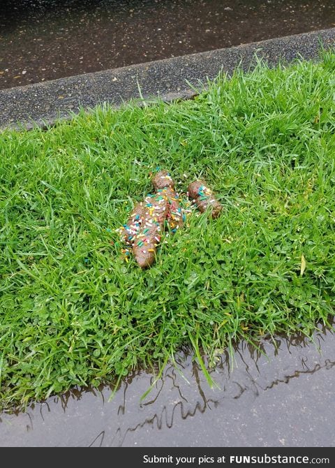 Someone put sprinkles on this dog poop