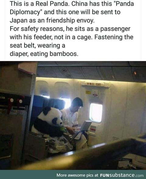 Makes me want to be a Panda