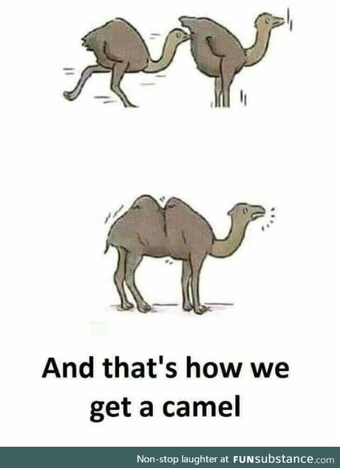 How camels were made