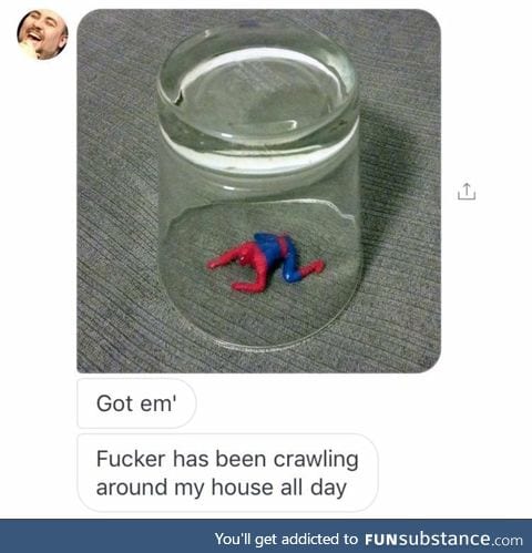 Catch the spider