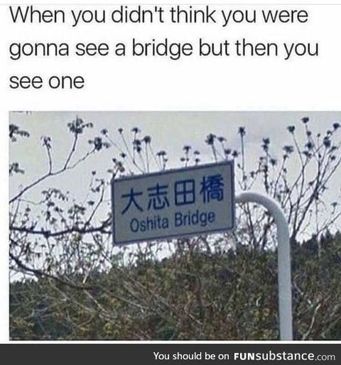 When you see a bridge