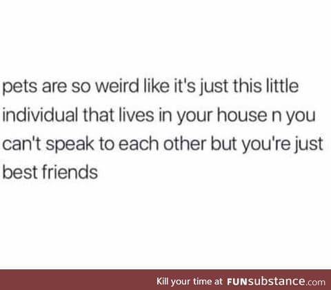 The fact they can't speak is why you're best friends