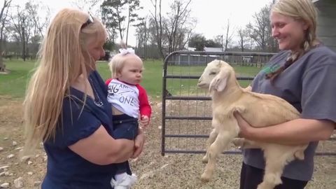 Cute baby is a natural goat whisperer