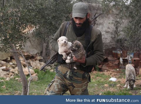 Ahmed al-Hussein, Free Syrian Army Soldier takes care of packs of dogs.