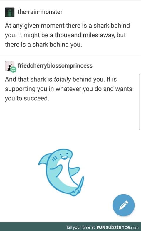 Support shark