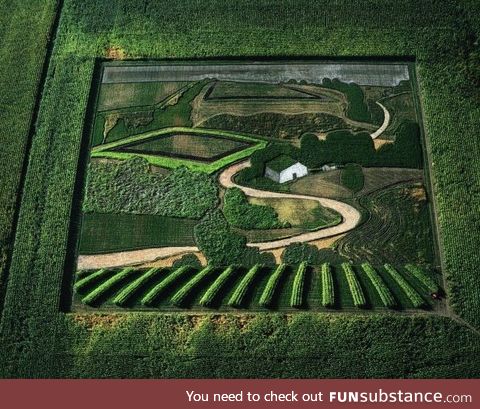A crop field in a crop field