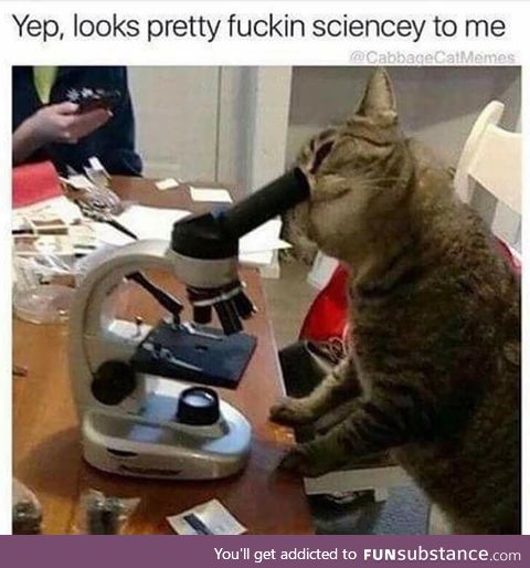 Science cat