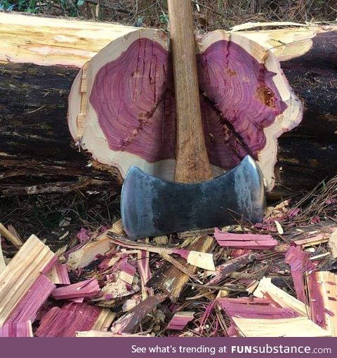 Purple wood