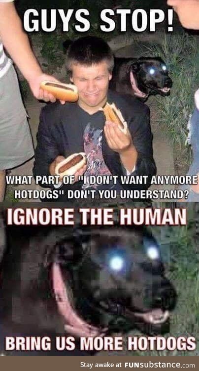 Ignore the human