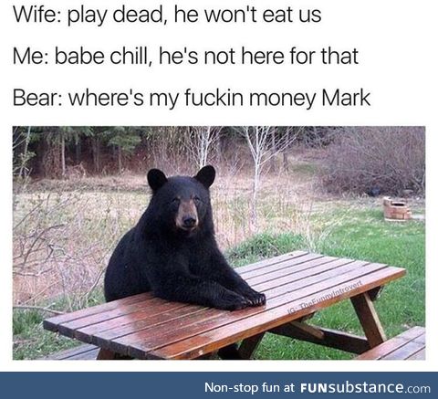 Bear with him on this beary serious situation