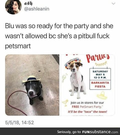 Dog discrimination