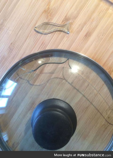 How the Glass Lid Broke in the Shape of a Fish