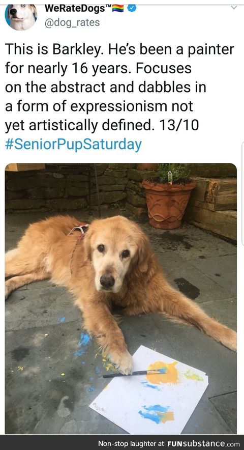 Artistic dog