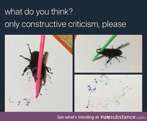 Beetle art